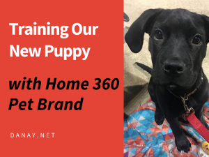 Training Our New Puppy With Home 360 Pet Brand